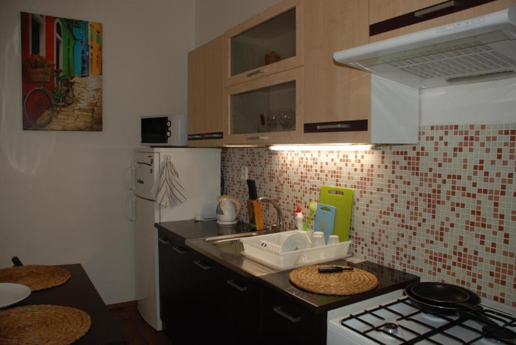 Apartment 5 Min By Walk To The Center Brno Dış mekan fotoğraf